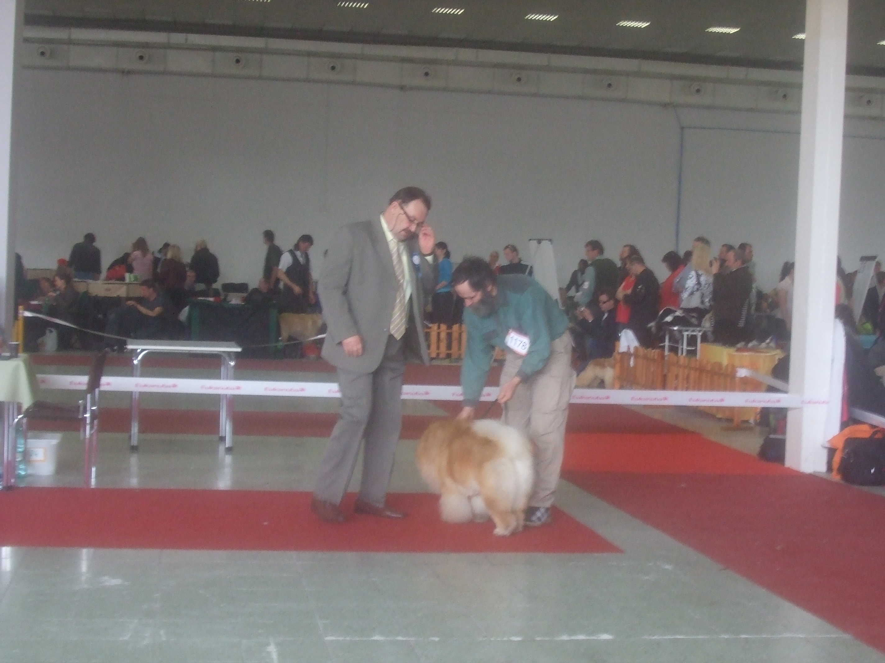 Nitra 2012 007